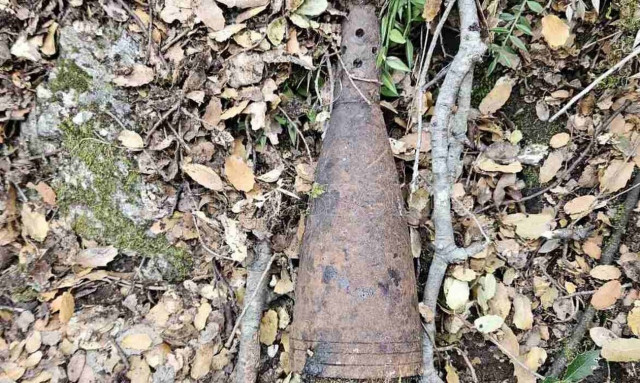 Φωκίδα: Εντοπίστηκε «ξεχασμένο» βλήμα μέσα στο δάσος - Κινητοποιήθηκε ο στρατός (pics)