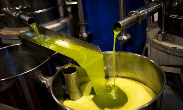 Τουρκία: Βαζει νέο «φρένο» στις εξαγωγές ελαιολάδου - «Οι αγρότες πρέπει να στηριχθούν»