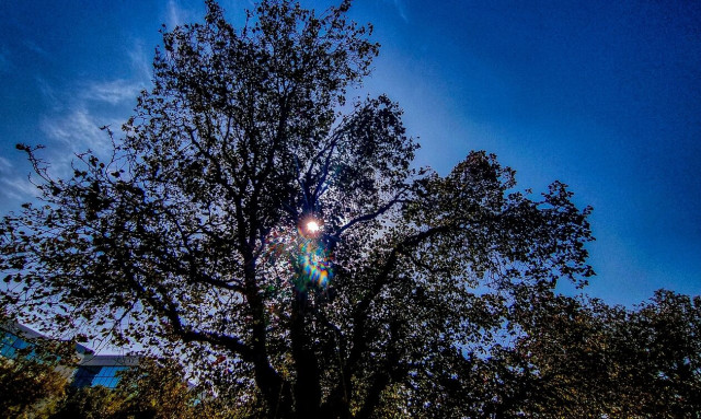 Καιρός: Το μικρό καλοκαιράκι του Αη Δημήτρη - Η πρόγνωση της εβδομάδας