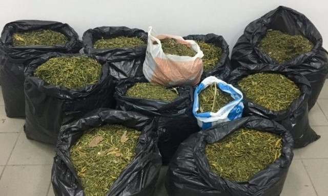 Αρκαδία: Εξαρθρώθηκε εγκληματική οργάνωση - Διακινούσε μεγάλες ποσότητες ναρκωτικών