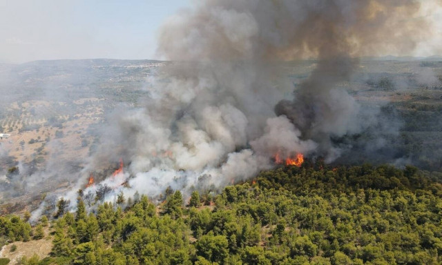 Φθιώτιδα: Αθώος ο ανήλικος μαθητής που κατηγορούνταν για τις πυρκαγιές στο Θεολόγο