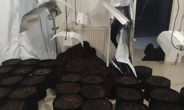 Διαμέρισμα - «σούπερ μάρκετ» ναρκωτικών στη Νέα Μάκρη – Κατασχέθηκε ένα κιλό κάνναβη και όπλα