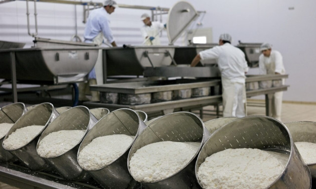 Εκπέμπουν SOS οι κτηνοτρόφοι: «Είδος προς εξαφάνιση η φέτα – Μπορεί να φτάσει και 18 ευρώ/κιλό»