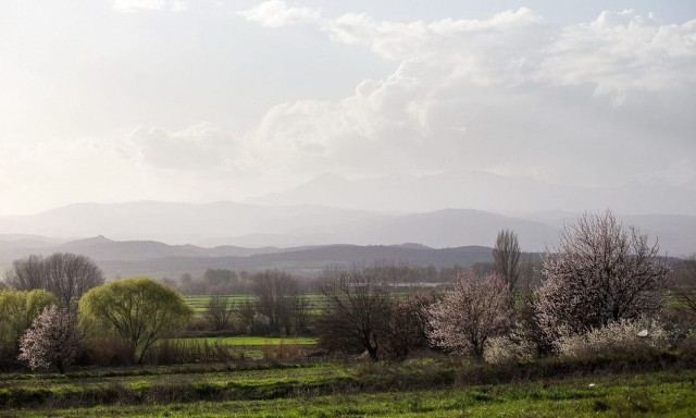 Weather forecast:Scattered clouds on Sunday