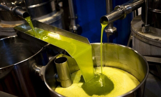 Ελαιόλαδο: Πόσο έχει το περσινό και πόσο πωλείται στο ελαιοτριβείο