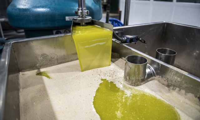 Ελαιόλαδο: Πέφτουν οι τιμές στην Ισπανία - Πώς θα επηρεάσει την Ελλάδα