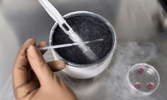 Δωρεά Ωαρίων & Κρυοσυντήρηση