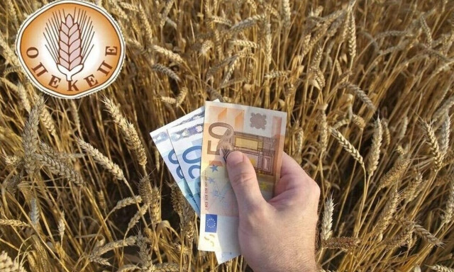 Αναστατωμένοι οι Ηλείοι παραγωγοί με τη μειωμένη βασική ενίσχυση