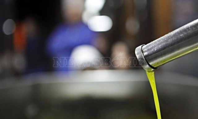 «Πονοκέφαλος» για τις τιμές στο ελαιόλαδο – Πλιάτσικο σε ελαιώνες όλης της χώρας