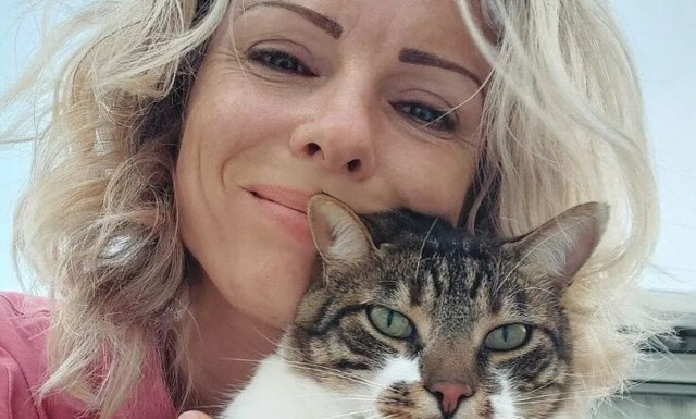 Αδιανόητη καταγγελία στη Σητεία - «Κυνηγός σκότωσε τη γάτα μου»