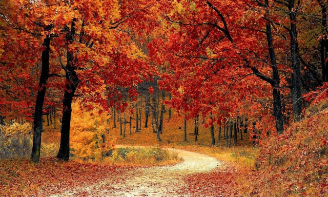 Φλώρινα: Περιπέτεια με αίσιο τέλος για δύο νεαρούς - Χάθηκαν στο δάσος