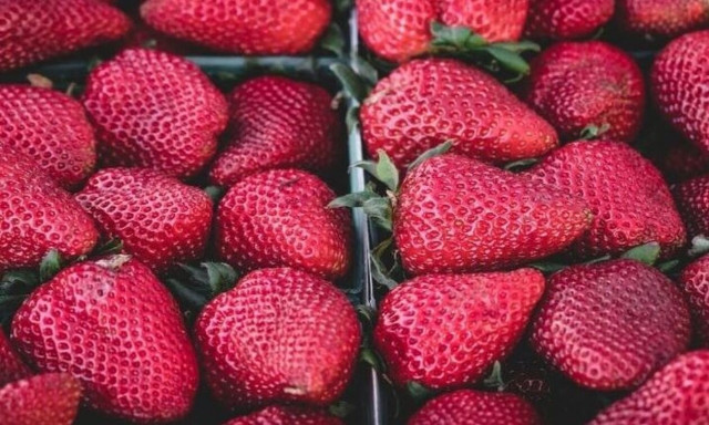 Oι άνθρωποι έμειναν άναυδοι όταν ανακάλυψαν τι είναι οι λευκές κουκκίδες στις φράουλες