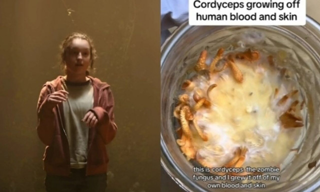 Γιατί οι άνθρωποι φοβούνται ότι το «The Last Of Us» θα γίνει πραγματικότητα