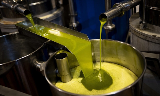 Eλαιόλαδο και πατάτες από... χρυσό: Πόσο αυξήθηκαν οι τιμές τους από το 2021