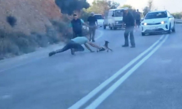 Κρήτη: Άνδρας έσωσε νεογέννητο αρνάκι στον ΒΟΑΚ