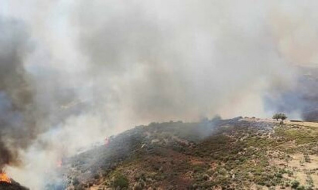 Φωτιά στην Κάρυστο: Καλύτερη η εικόνα του «πύρινου μετώπου», δεν υπάρχει ενεργή εστία