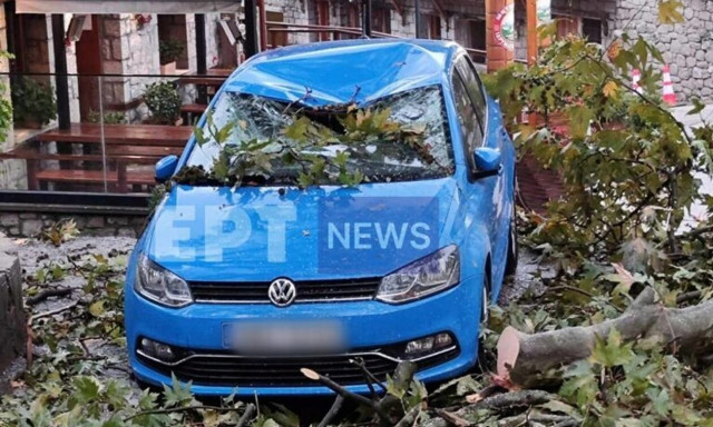 Κακοκαιρία: Πτώσεις δέντρων από ισχυρούς ανέμους στο Μέτσοβο – Κατολισθήσεις στα Τζουμέρκα