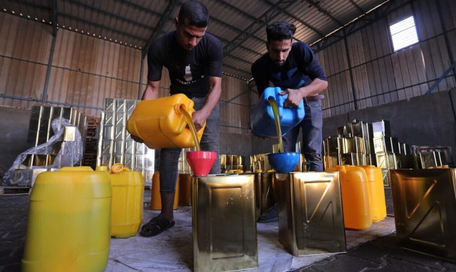 Συναγερμός στον ΕΦΕΤ για τη μαφία του ελαιόλαδου - Έχουν ήδη κατασχεθεί 30 νοθευμένοι τόνοι