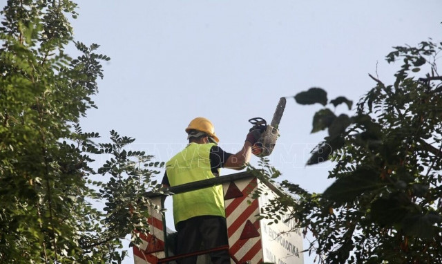Παρέμβαση Χάρη Δούκα για την κοπή των δέντρων στα Εξάρχεια