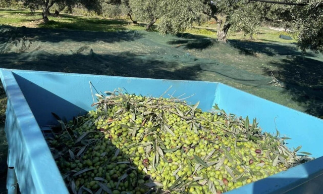 Λιομάζωμα 50 στρεμμάτων σε μία ημέρα – Το σύστημα που θα φέρει την «επανάσταση»