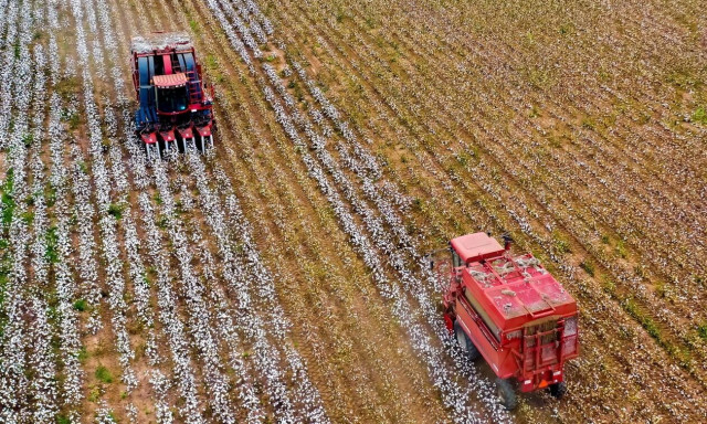 ΔΥΠΑ: Επίδομα 500 ευρώ το μήνα για 500 ανέργους - Πώς θα κάνετε την αίτηση