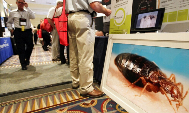 Nóτια Κορέα: Η κυβέρνηση κήρυξε πόλεμο στους κοριούς - Έλεγχοι σε λουτρά, σάουνες και ξενοδοχεία