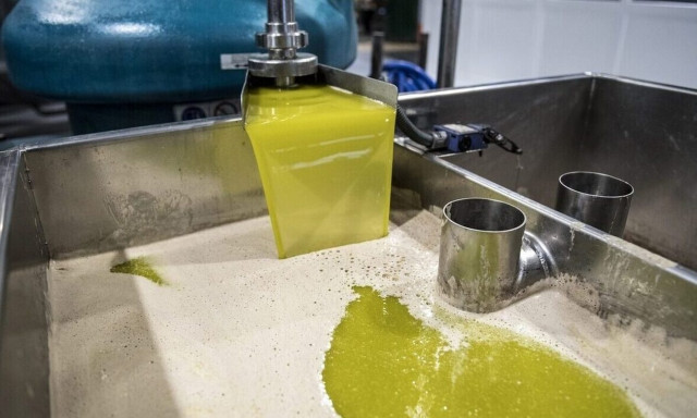 Δράμα: Τον «τσάκωσαν» με 400 λίτρα ελαιόλαδο - Μία σύλληψη για λαθρεμπόριο