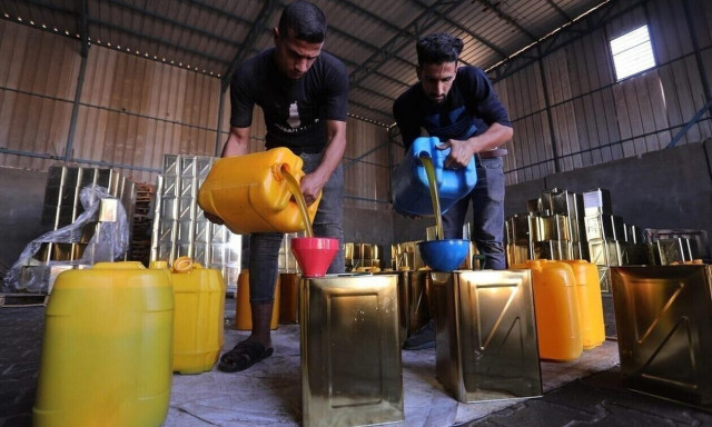 Ελαιόλαδο: Πωλείται πλέον και σε... μισόλιτρα - «Στα 9 ευρώ στο χωράφι»