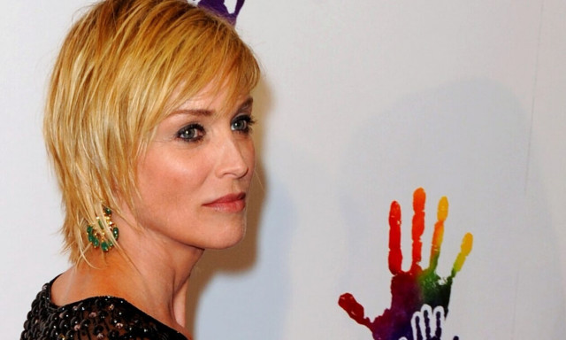 Σάρον Στόουν για το «Βασικό Ένστικτο»: «Ήταν ένα τρομακτικό ταξίδι που με μεταμόρφωσε»