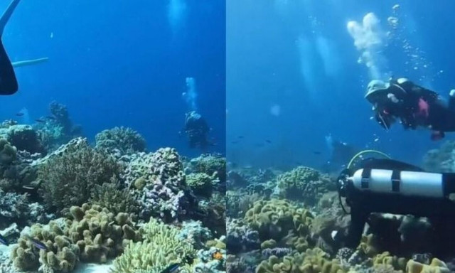 Σπάνιο στιγμιότυπο δείχνει τι συμβαίνει στον βυθό της θάλασσας όταν γίνεται σεισμός (vid)