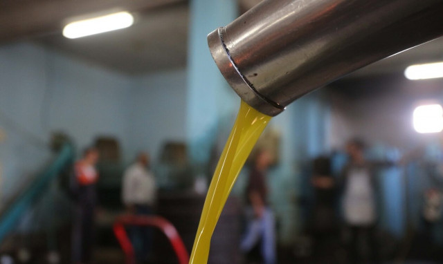 Ελαιόλαδο: Το απόλυτο limit up - Διπλασιάστηκε σχεδόν η παγκόσμια τιμή σε ένα χρόνο