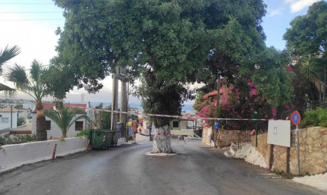 Κρήτη: Απαγόρευση κυκλοφορίας λόγω... χαρουπιάς