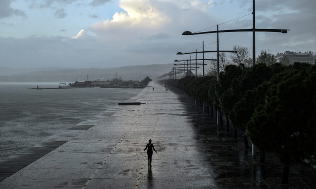 Θεσσαλονίκη: Πτώσεις δέντρων, ζημιές και ακυρώσεις πτήσεων λόγω των θυελλωδών ανέμων