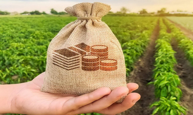 Ειδικός Φόρος Κατανάλωσης: Ποιοι δικαιούνται επιστροφή για το αγροτικό πετρέλαιο