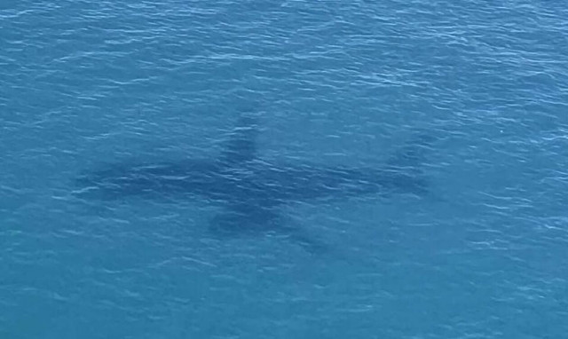 Ένας… καρχαρίας με τουρμπίνες έξω από το Ηράκλειο!