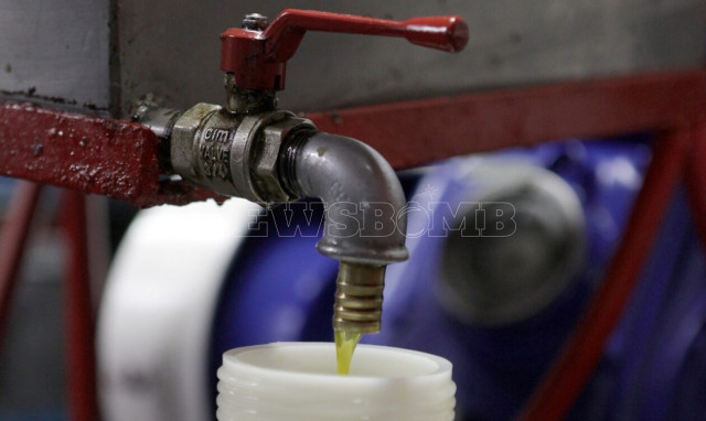 Ελαιόλαδο: Πώς πιάστηκαν «στα πράσα» ληστές ελαιοκάρπου στην Πάτρα