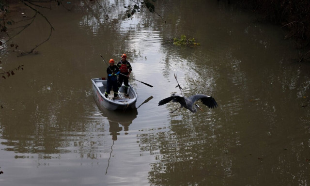 Λάρισα: Επιχείρηση της Πυροσβεστικής για τον απεγκλωβισμό πτηνού πάνω από τον Πηνείο (vid-pics)
