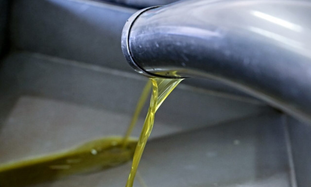 Συνεχίζεται το ανοδικό «ράλι» στο ελαιόλαδο – «Μάχη» κατά των κρουσμάτων νοθείας