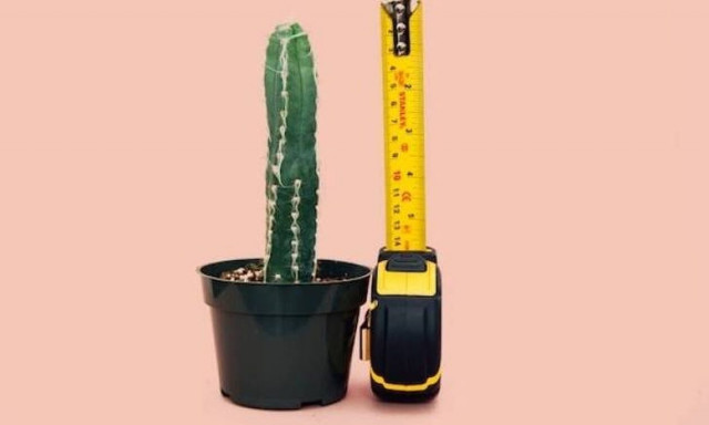 Έρευνα δημοσιεύει τα μεγέθη ανδρικών μορίων ανά χώρα: Η θέση της Ελλάδας