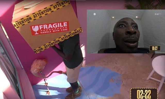 Ογκουνσότο: Τον δάγκωσε φλαμίνγκο σε... ευαίσθητο σημείο - Η επική αντίδρασή του