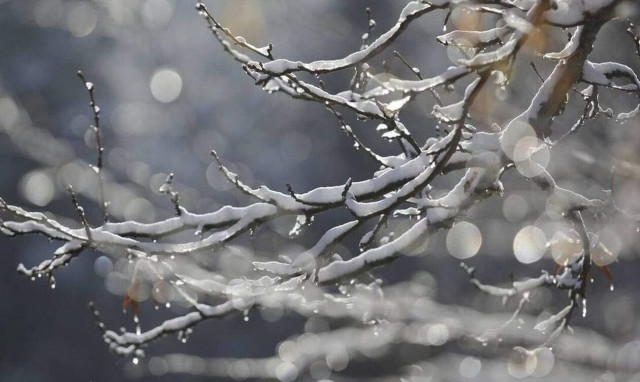 Καλλιάνος: «Η κακοκαιρία έφερε εκπλήξεις που δεν τις προέβλεψαν τα μοντέλα»