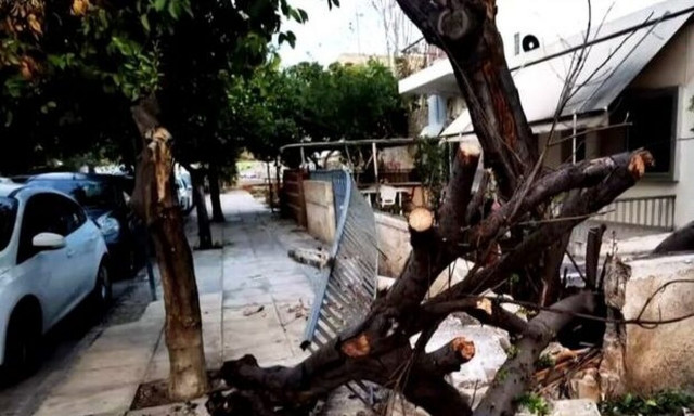 Ωρωπός: Τετραμελής οικογένεια τραυματίστηκε όταν δέντρο καταπλάκωσε το όχημά τους