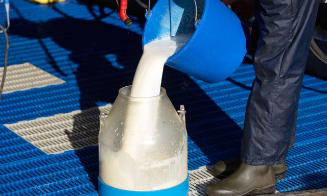 Η ακρίβεια «χτυπά» και το γάλα – «Οι βιομηχανίες αγοράζουν το προϊόν μας χωρίς να έχουν δώσει τιμές»