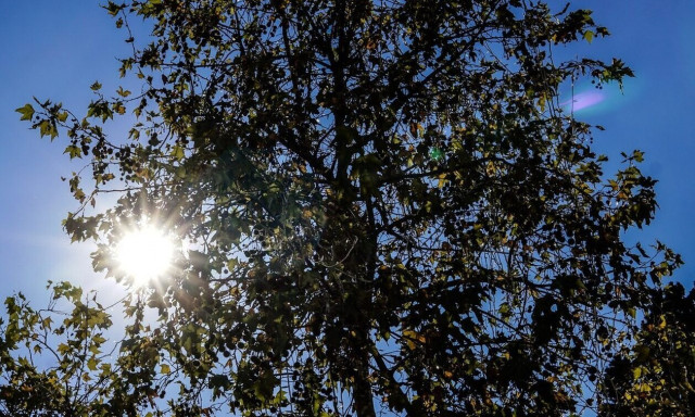 Σάκης Αρναούτογλου: Με ανοιξιάτικες θερμοκρασίες, ήλιο και λίγες βροχές μας αποχαιρετά ο Νοέμβριος