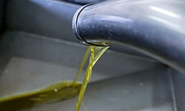 Ελαιόλαδο: Γέμισε με νοθευμένο «ελληνικό» η αγορά στη Βουλγαρία - Ανησυχία για τους κλέφτες ελιών