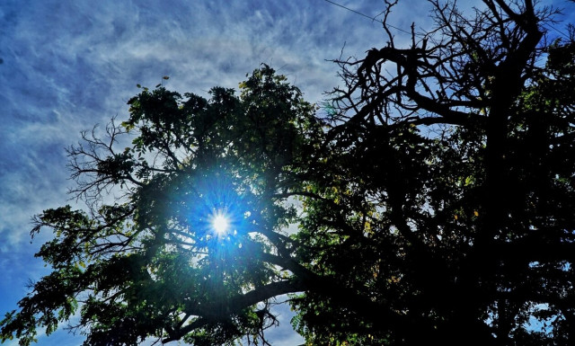 Καιρός – Μαρουσάκης: Άνοδος της θερμοκρασίας και… αφρικανική σκόνη μετά τη σύντομη κακοκαιρία