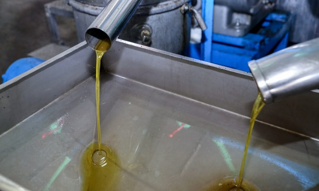 Πόσο επικίνδυνο είναι για την υγεία μας το νοθευμένο λάδι; - Τι λένε οι ειδικοί