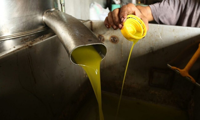 Βουλγαρία: Σάλος με τις καταγγελίες για νοθευμένο ελαιόλαδο που πωλείται ως ελληνικό