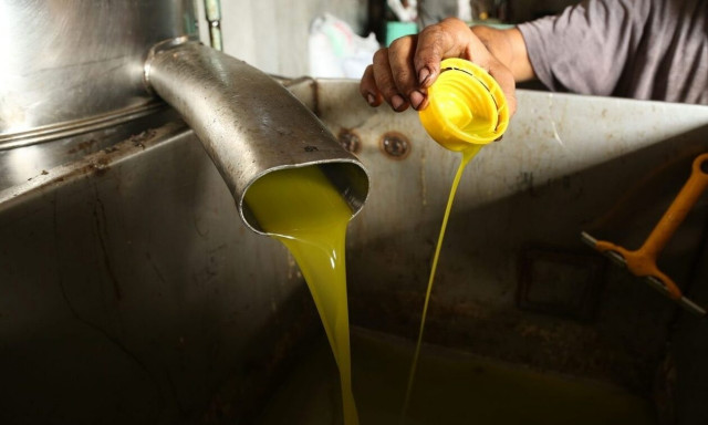 Ελαιόλαδο: Οργιάζει η νοθεία - Τι βάζουν μέσα και το δίνουν 8 ευρώ το λίτρο