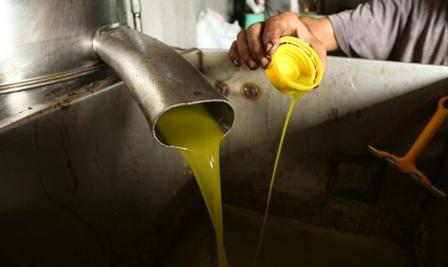 Αύξηση 31,4% στην τιμή του λαδιού το Νοέμβριο